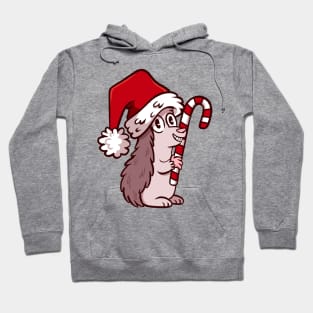 Christmas Hedgehog Hoodie